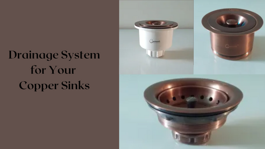 Drainage Dilemmas? Unmasking the Mystery Beneath Your Kitchen Sink